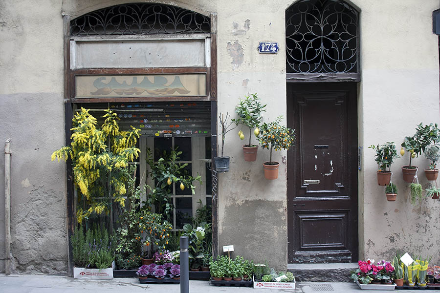 Photo 02460: Greengrocer's shop window and door