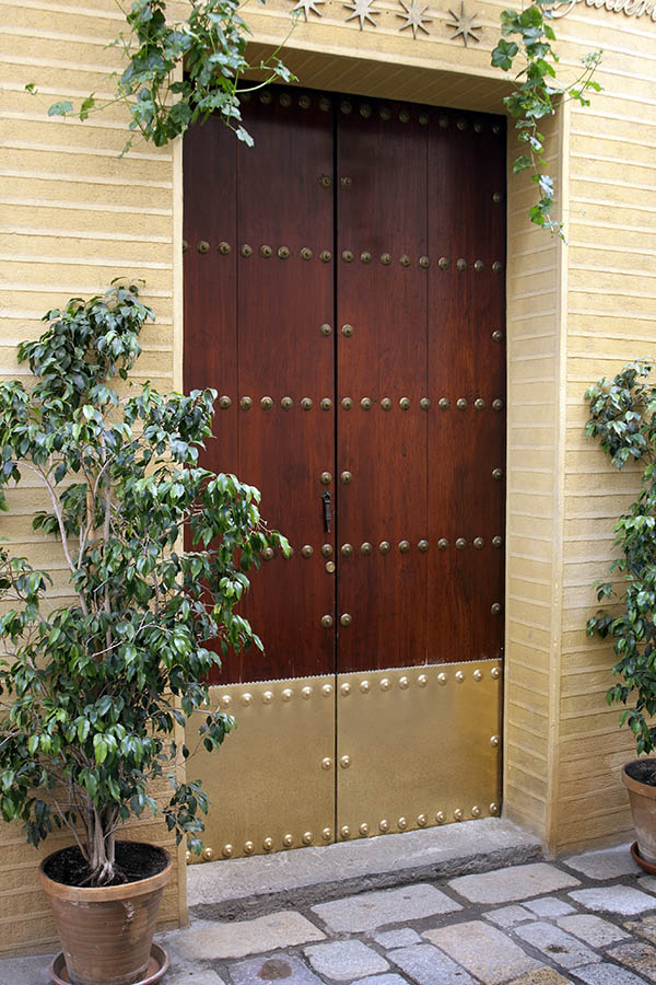 Photo 03277: Decorated, oiled, mahogany double door in old style