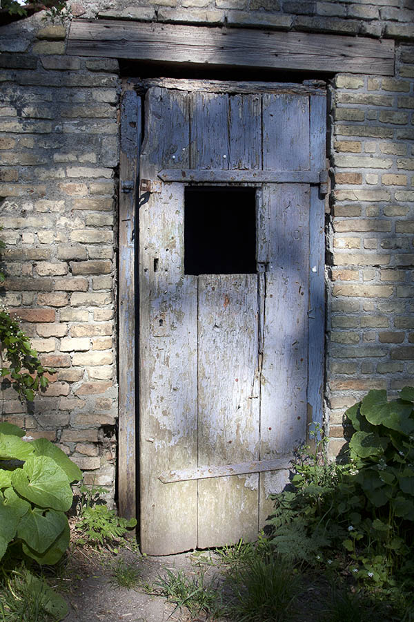 Photo 04194: Decayed, violet door leading to a shed