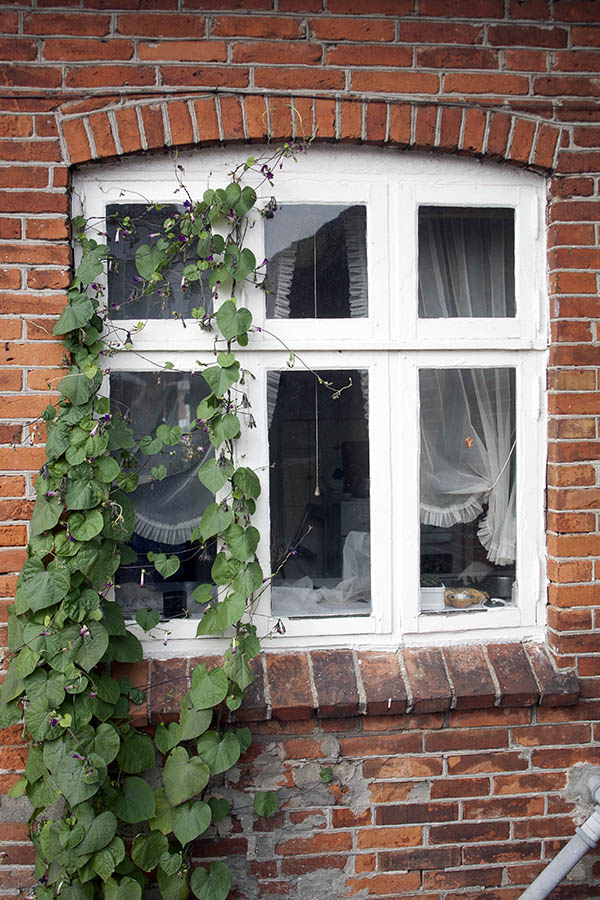 Photo 07762: White window in Dannebrog style with six frames