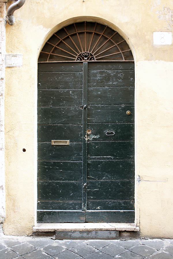 Photo 07933: Black double door made of planks with barred fan light
