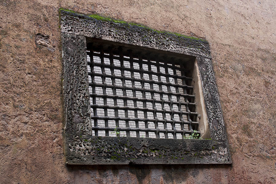 Photo 07998: Barred, brown window with wire net