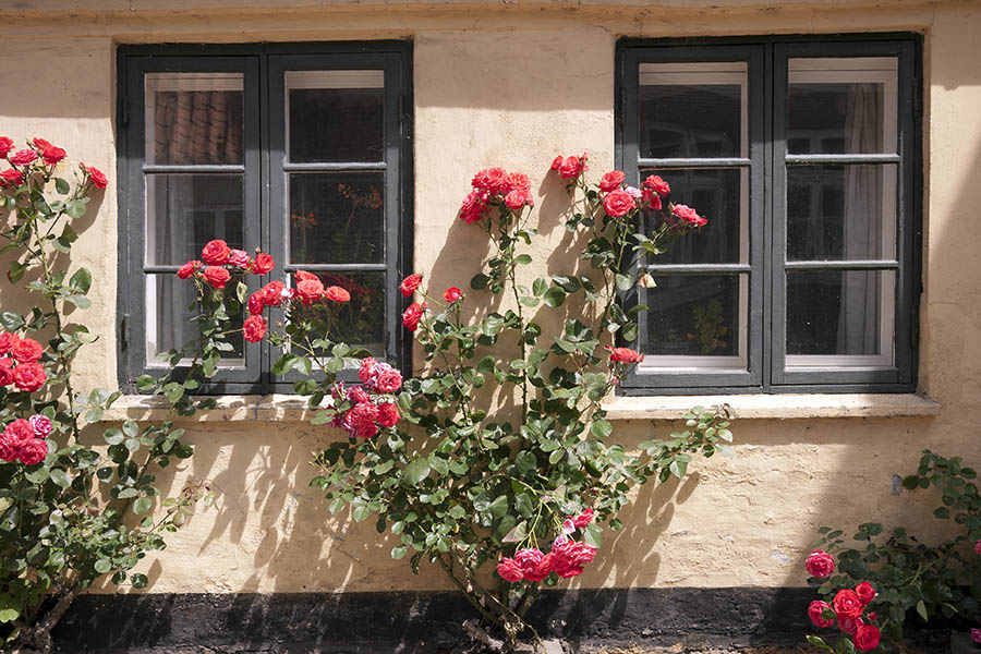 Photo 08625: Two green windows with two frames and six panes each