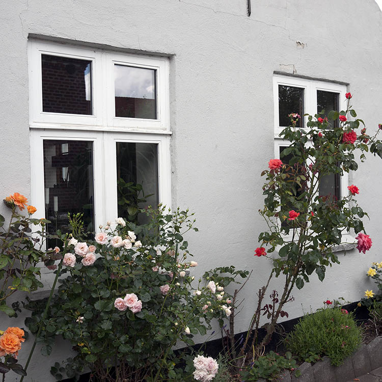 Photo 08792: Two white Dannebrog windows