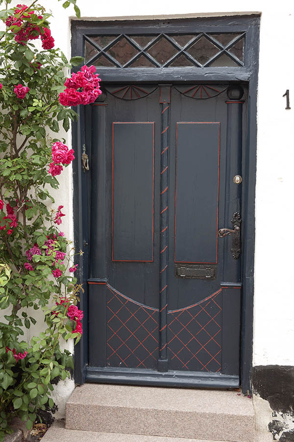 Photo 08838: Carved, panelled, dark blue and red double door with top window