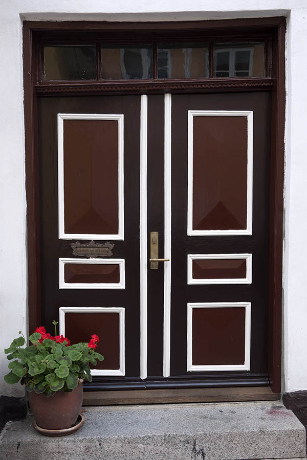 Photo 08873: Lopsided, panelled, brown, dark red and white double door with top window