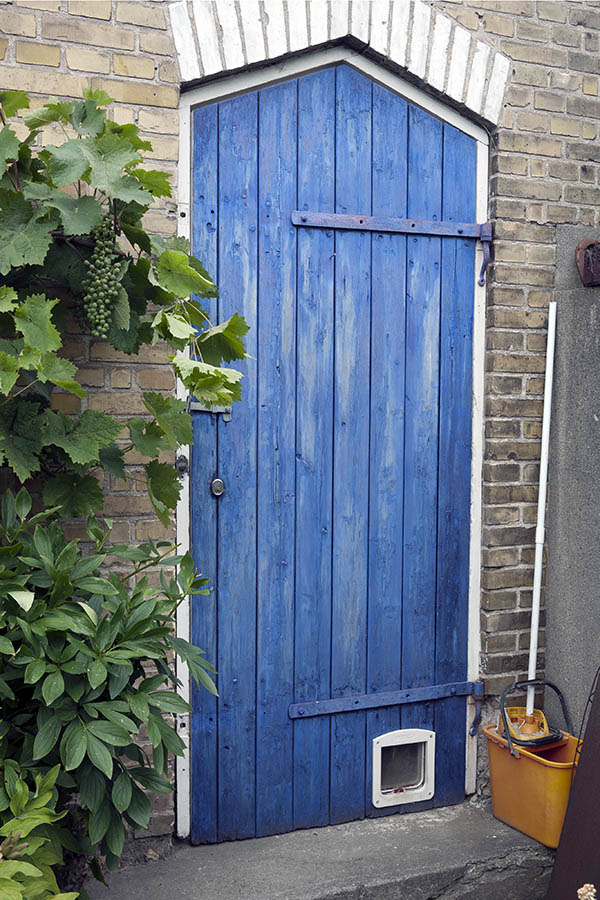 Photo 09101: Formed, blue door made of planks