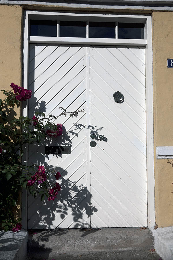Photo 09250: White double door of diagonal boards with top window