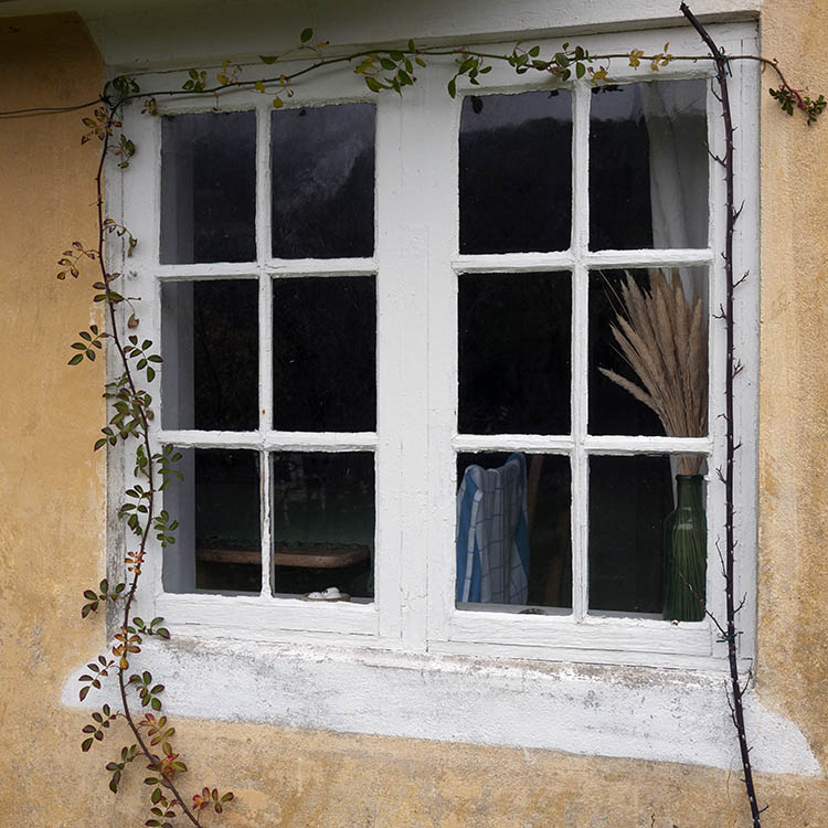 Photo 09893: White window with two frames and 12 panes