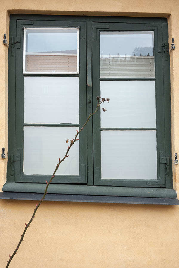 Photo 10594: Lopsided, green window with two frames and six panes