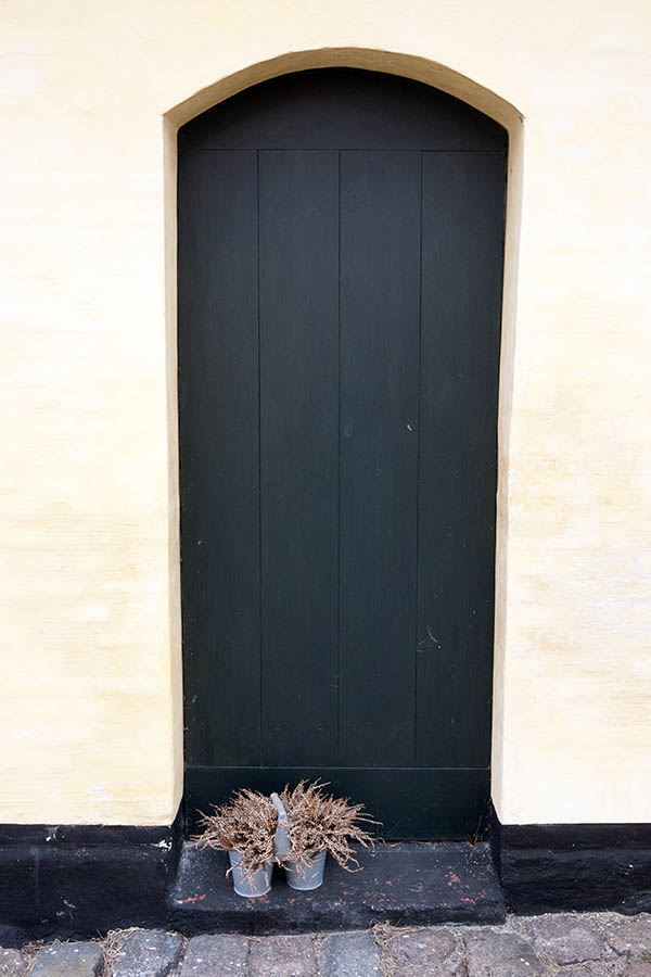 Photo 10599: Narrow, formed, black door made of planks