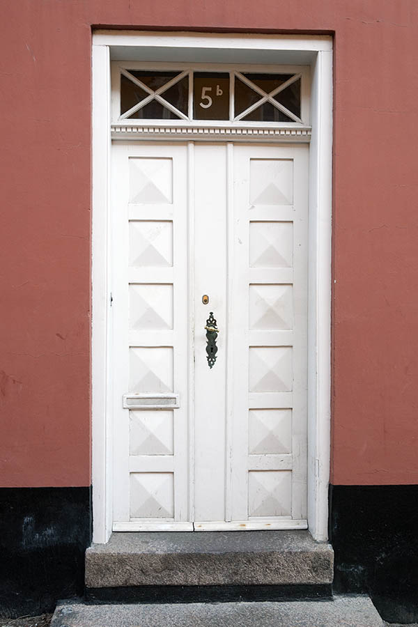 Photo 10896: Panelled, white double door with top window