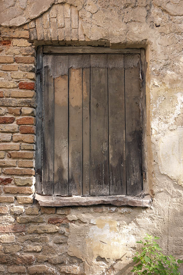 Photo 13112:  Worn, unpainted trapdoor