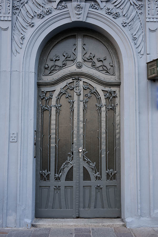 Photo 13580: Formed, panelled, grey double door with latticed fan light