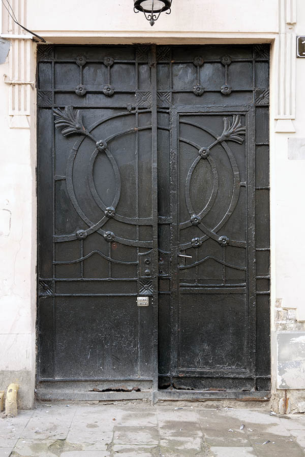 Photo 13759: Black metal double door with black decoration