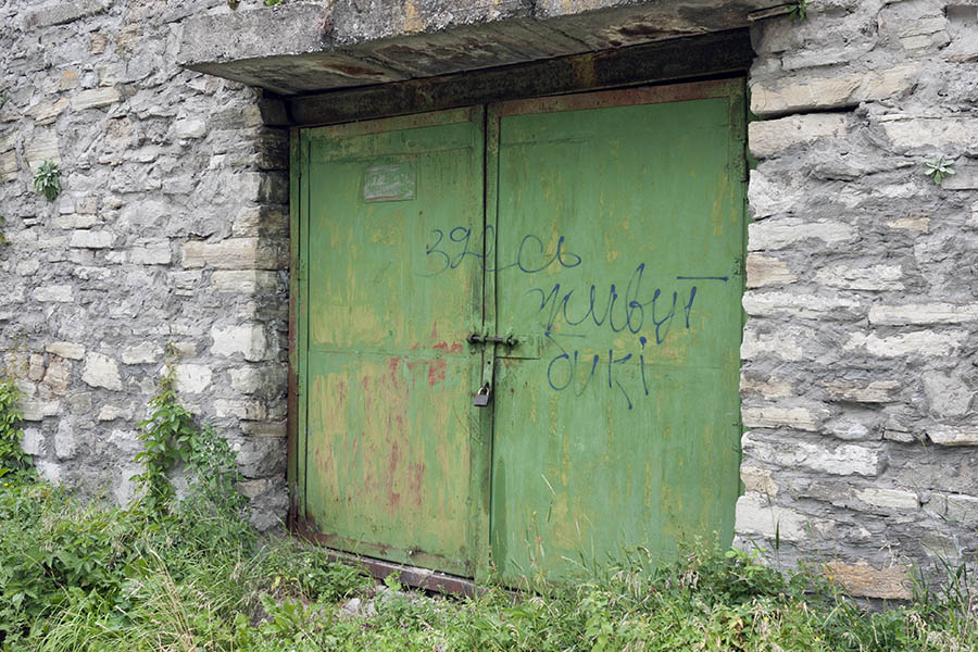 Photo 14051: Light green metal garage door gate