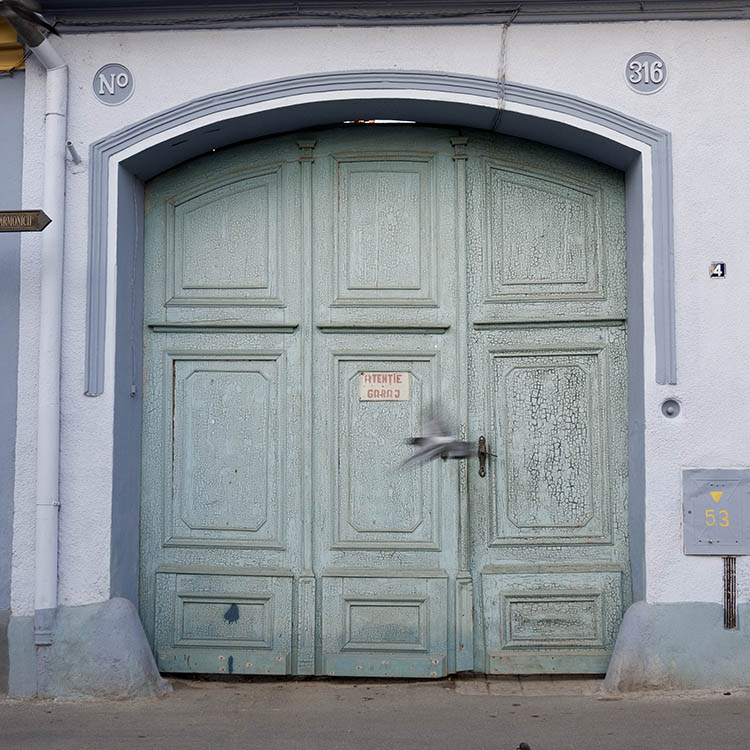Photo 14326: Panelled, formed, light green gate with minor door