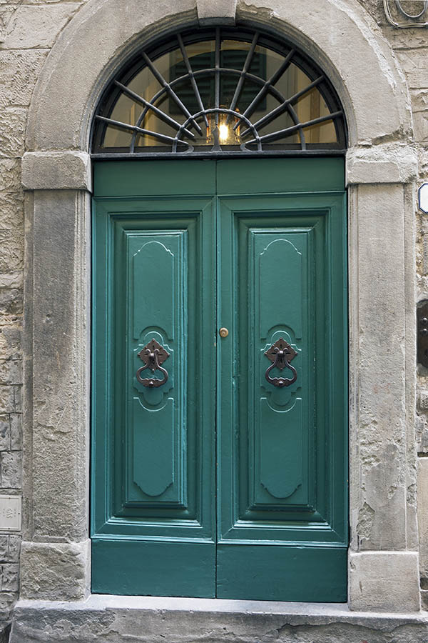 Photo 14731: Carved, panelled, green double door with barred fan light
