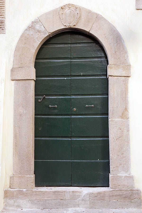 Photo 14763: Formed, green double door made of planks