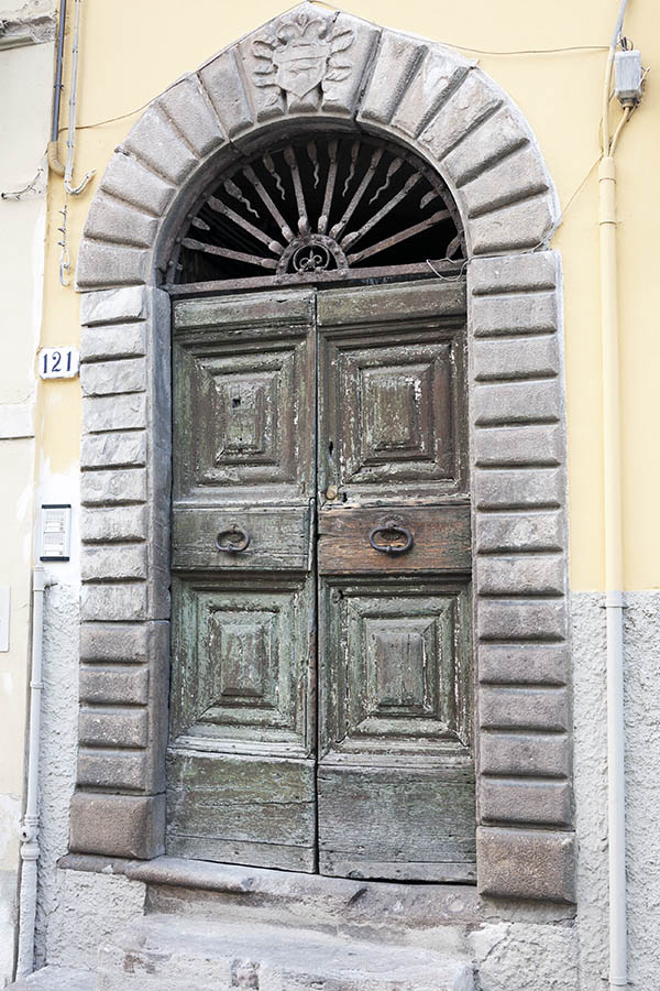 Photo 14840: Decayed, panelled, unpainted, light green double door with rusty, latticed fan light