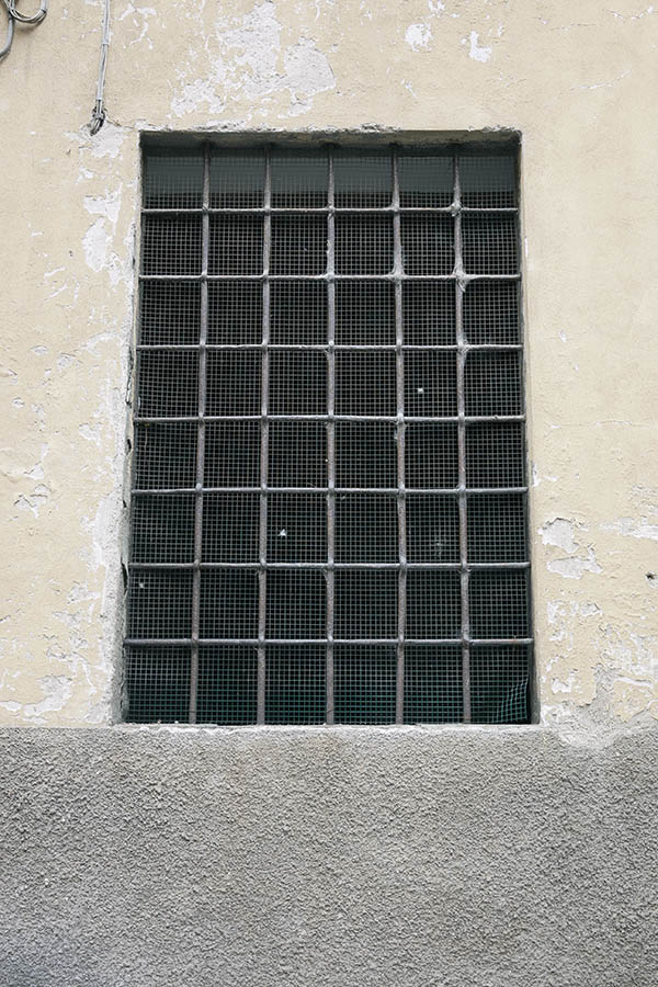 Photo 15102: Barred, latticed, grey window