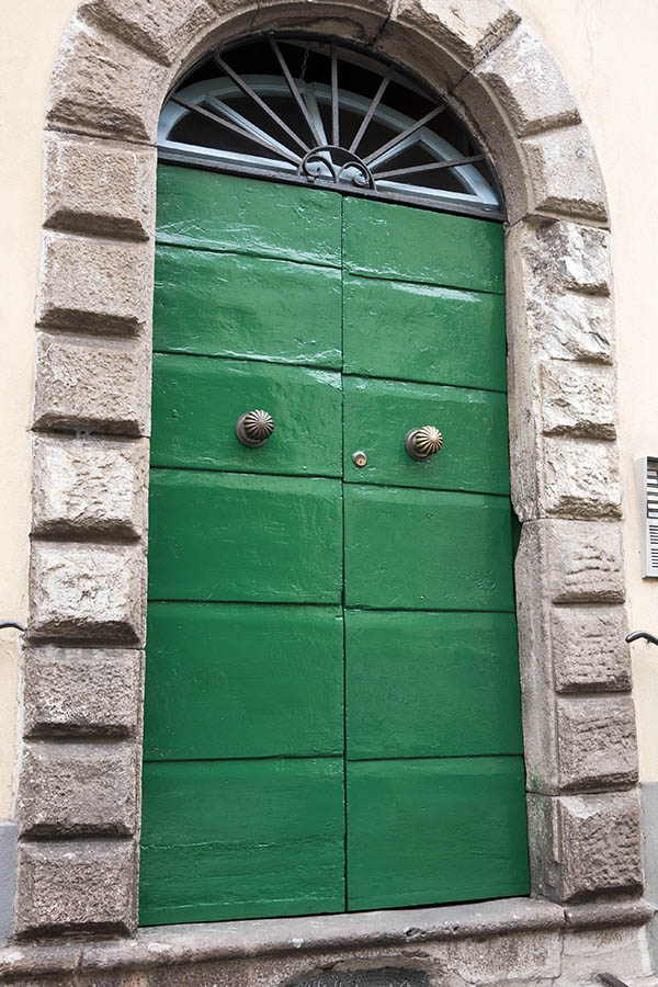 Photo 15218: Green double door made of planks with barred, white fan light