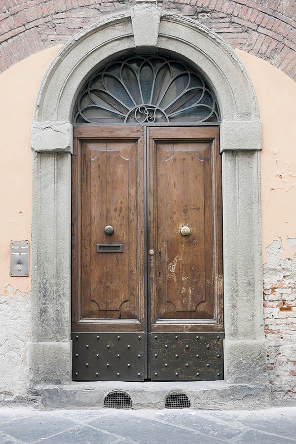 Photo 15230: Worn, panelled, oiled double door with latticed fan light