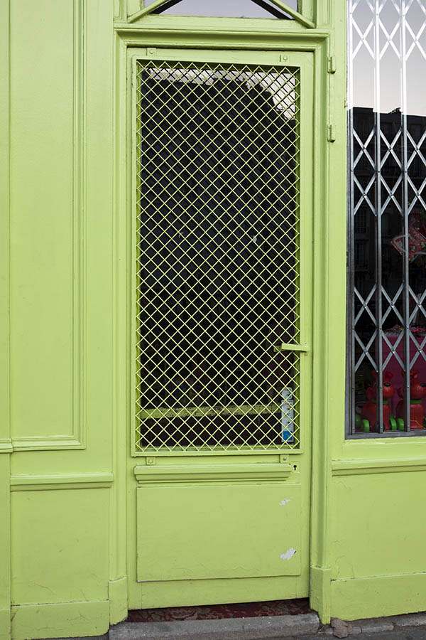 Photo 15531: Panelled, light green door with large, latticed door light and barred top window