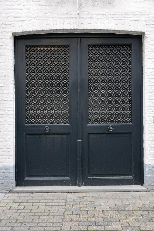 Photo 15813: Panelled, black double door with large, latticed door lights