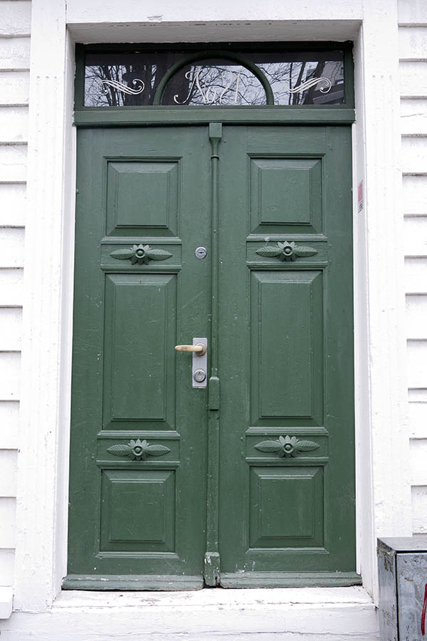 Photo 16595: Panelled, carved, green double door with top window