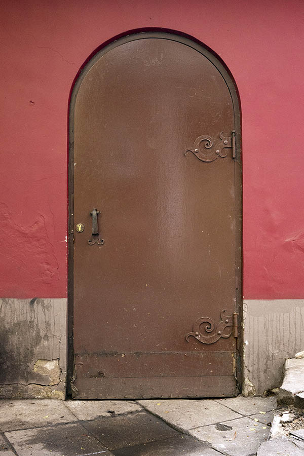Photo 19521: Formed, brown plate door