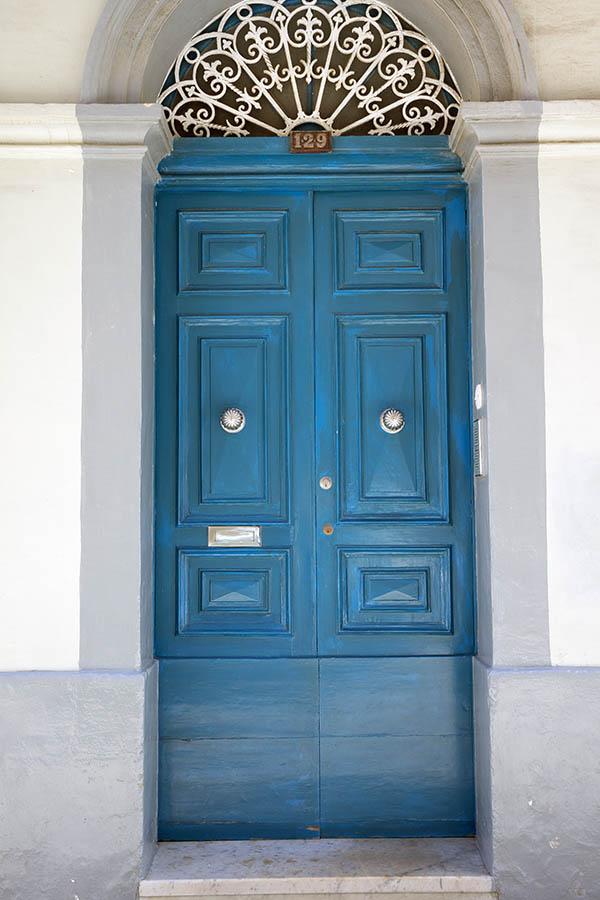 Photo 24123: Panelled, blue double door with latticed fan light
