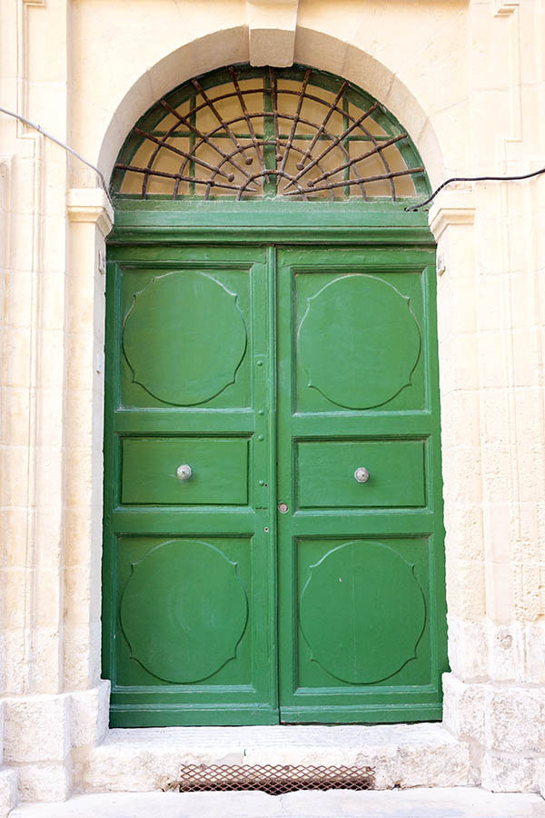 Photo 24228: Panelled, carved, green double door with latticed fan light