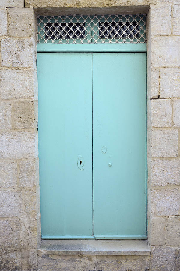 Photo 24282: Light blue double door of planks with latticed top window