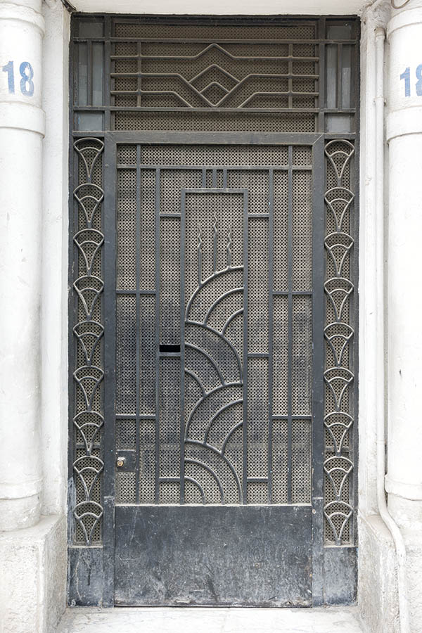 Photo 24556: Black metal door with lattice and top window