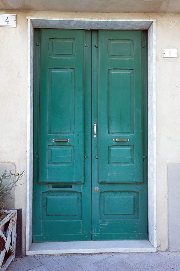 Photo 24711: Worn, carved, panelled, green double door