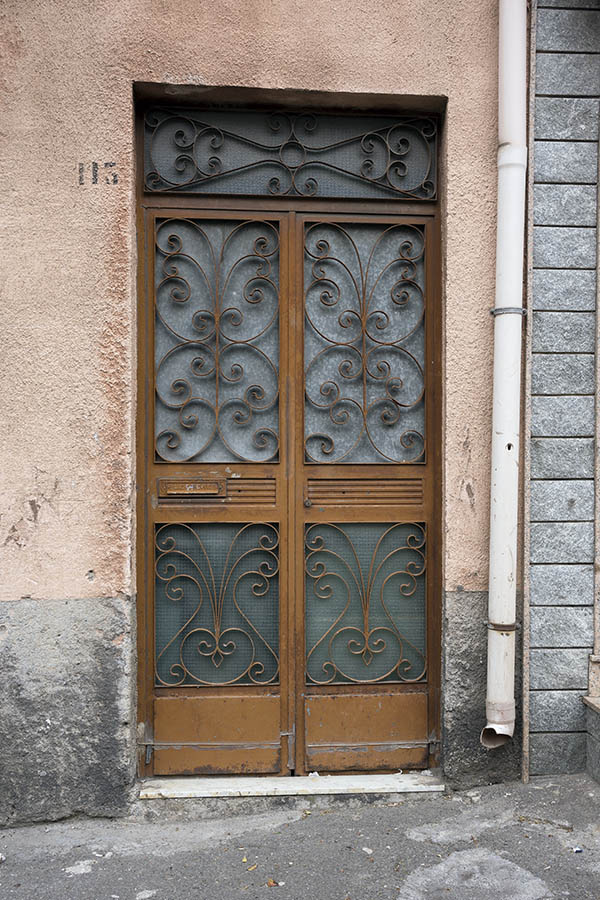 Photo 24739: Panelled, brown metal double door with latticed door lights