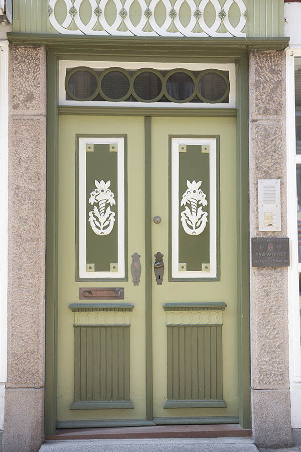 Photo 25043: Panelled, carved, green, light green, and white double door with top window