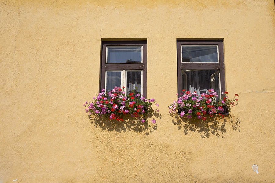 Photo 25375: Facade with two brown and white windows with three panes each
