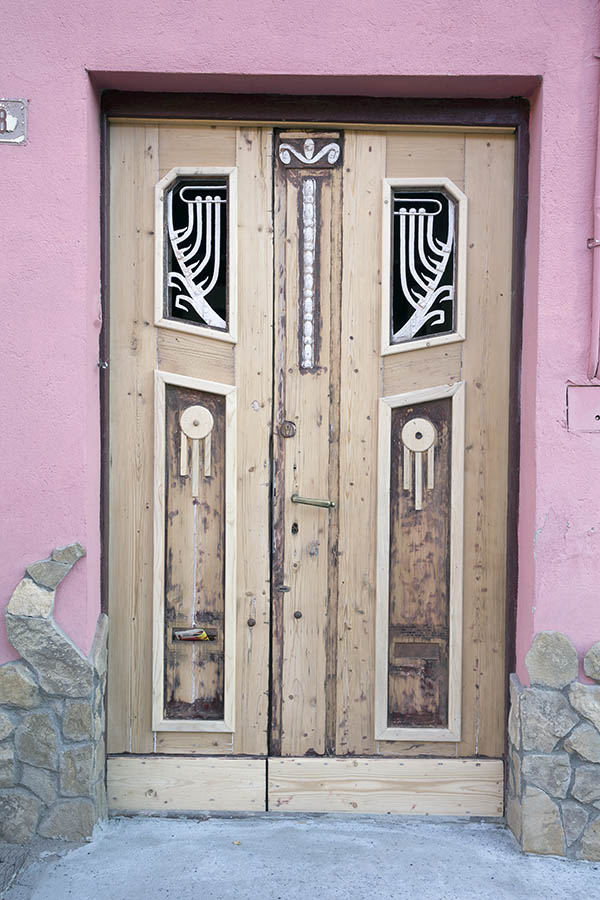 Photo 25639: Formed, carved, panelled, unpainted door with sidepiece
