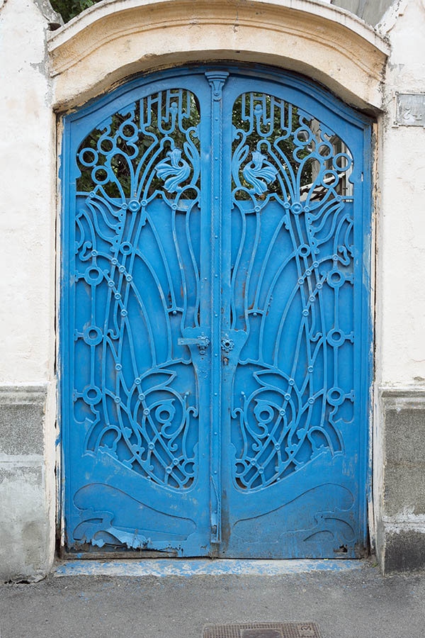 Photo 25799: Formed, light blue metal plate double door with lattice in Art Nouveau style