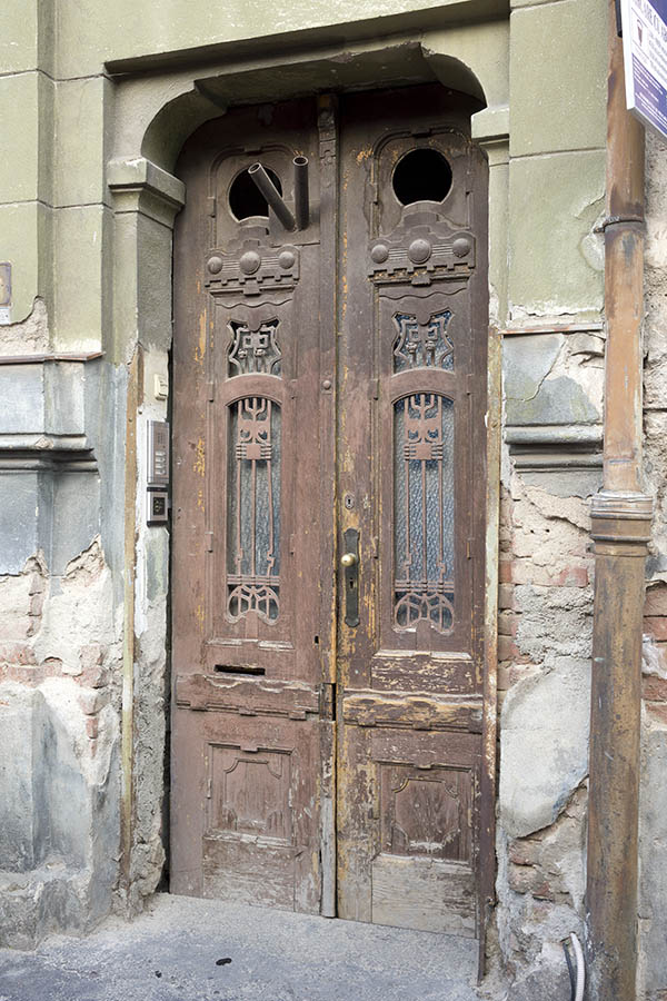 Photo 25832: Decayed, panelled, formed, carved, brown double door with latticed door lights