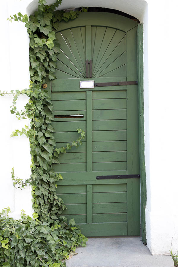 Photo 25938: Formed, panelled, green door