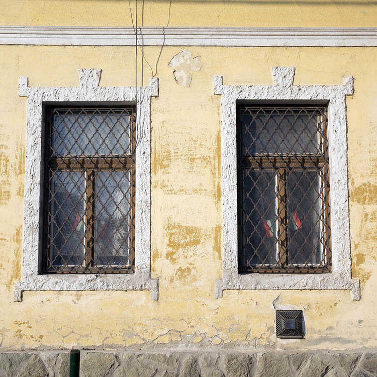 Photo 25946: Two worn, brown, latticed windows