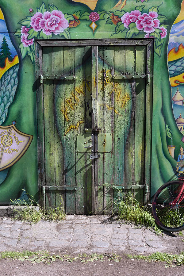 Photo 26437: Green double door of boards