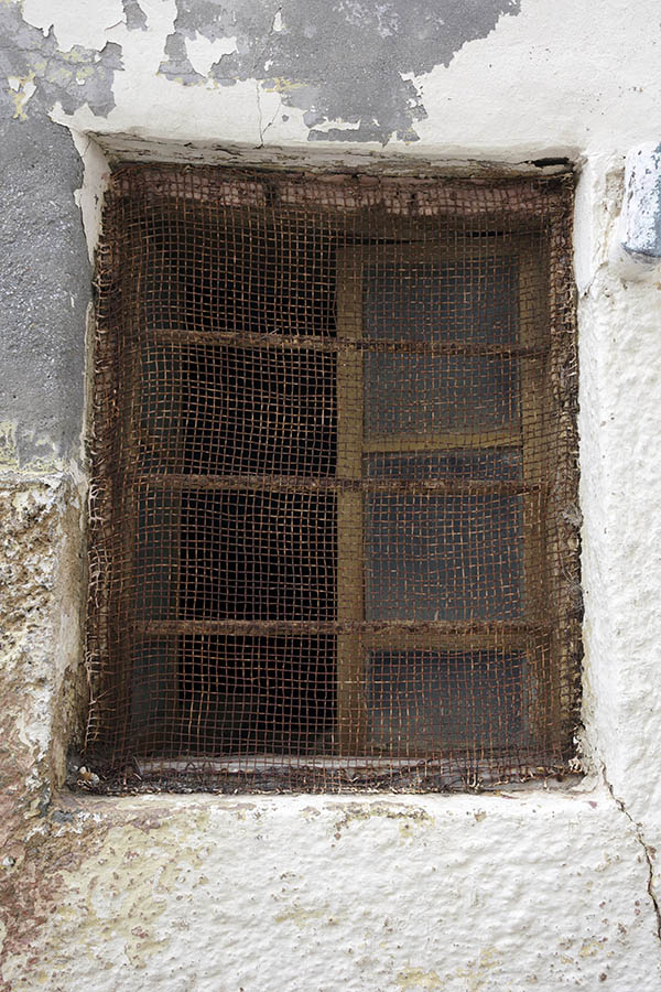 Photo 26661: Worn, green, grated and latticed window