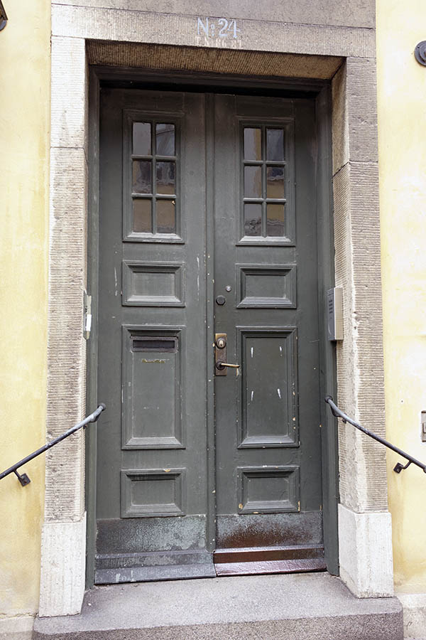 Photo 26969: Grey, panelled double door with door lights and banister