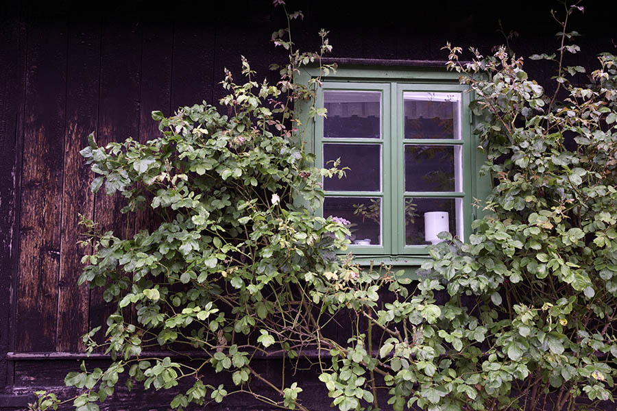 Photo 27112: Green window with two frames and six panes