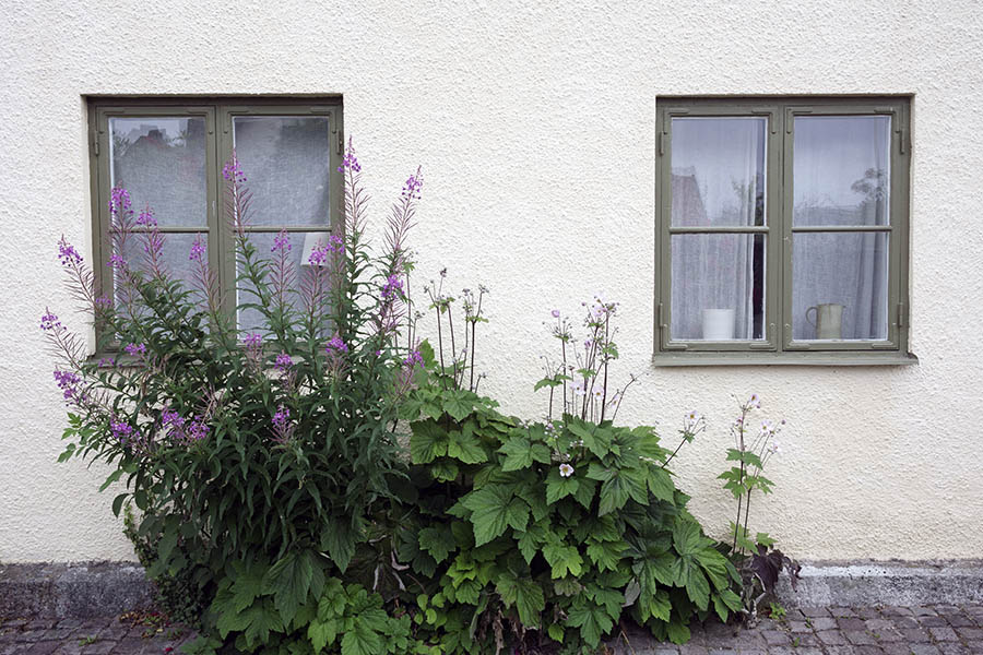 Photo 27114: Two light green windows with two frames and four panes each
