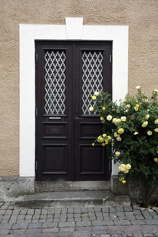Photo 27139: Panelled, black double door with white latticed door lights